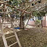 Saint Maxime أذيخي